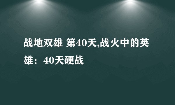 战地双雄 第40天,战火中的英雄：40天硬战