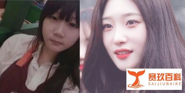 有一种变脸叫韩国整容：双门洞王子贤成王祖贤，她美成亚洲第一