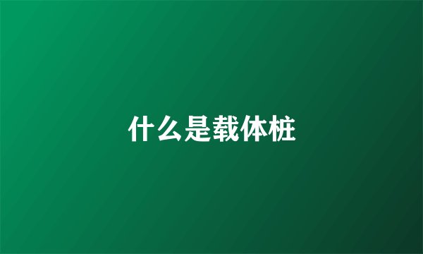 什么是载体桩