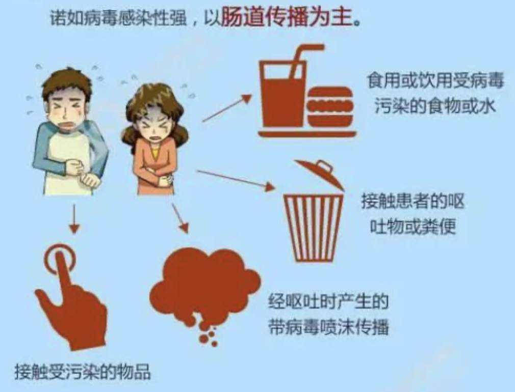 广州一高校20多人发烧腹泻被隔离,这些人究竟怎么了?