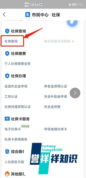 农村医疗保险网上怎么查询