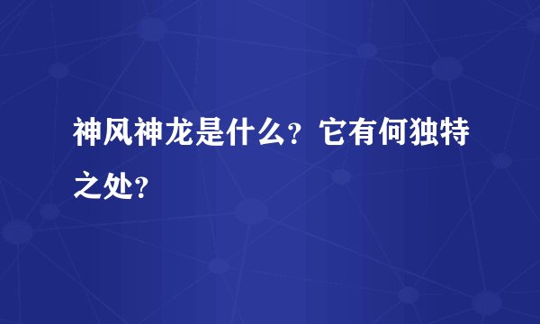 神风神龙是什么？它有何独特之处？