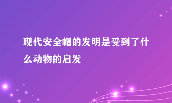 现代安全帽的发明是受到了什么动物的启发