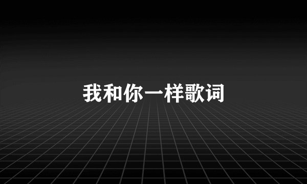 我和你一样歌词