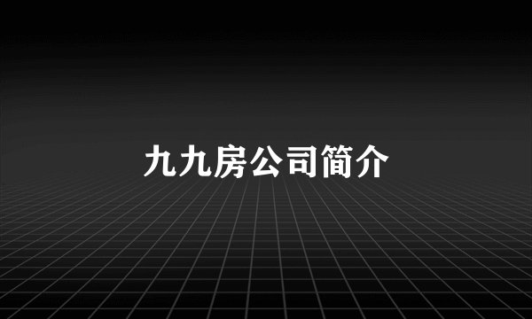 九九房公司简介