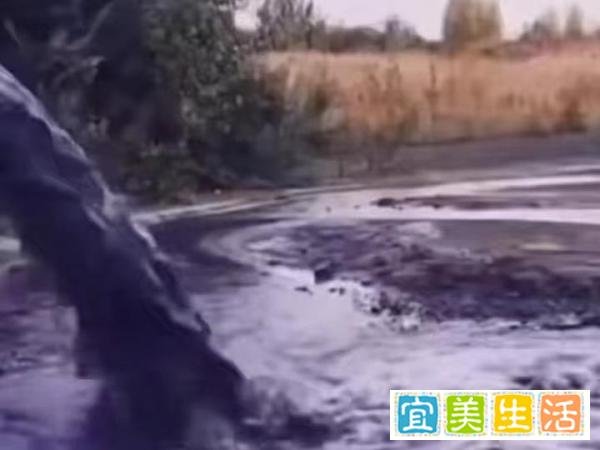 核污水排海或将影响整个生物圈