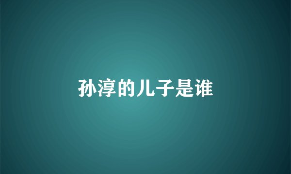 孙淳的儿子是谁