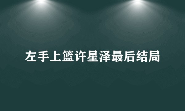 左手上篮许星泽最后结局