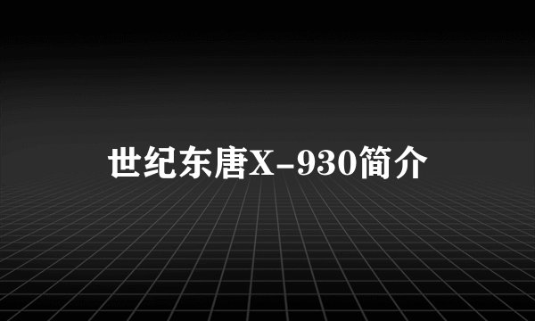 世纪东唐X-930简介