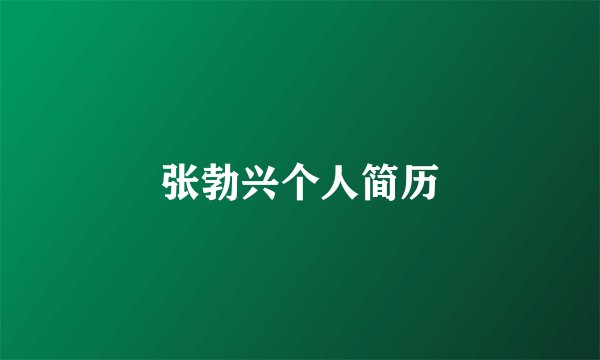 张勃兴个人简历