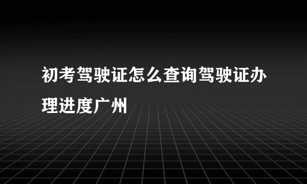 初考驾驶证怎么查询驾驶证办理进度广州