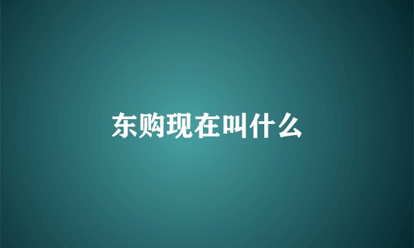 东购现在叫什么
