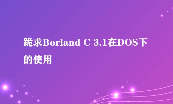 跪求Borland C 3.1在DOS下的使用