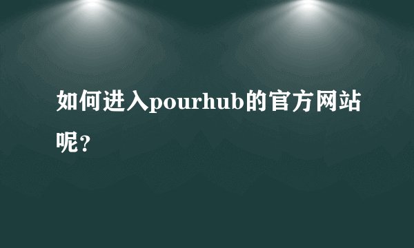 如何进入pourhub的官方网站呢？