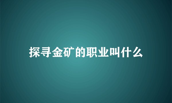 探寻金矿的职业叫什么