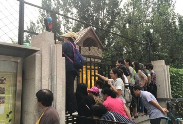 开学第一天,成都家长贴墙暗中观察,你能理解家长们的这一行为吗?