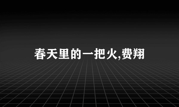 春天里的一把火,费翔