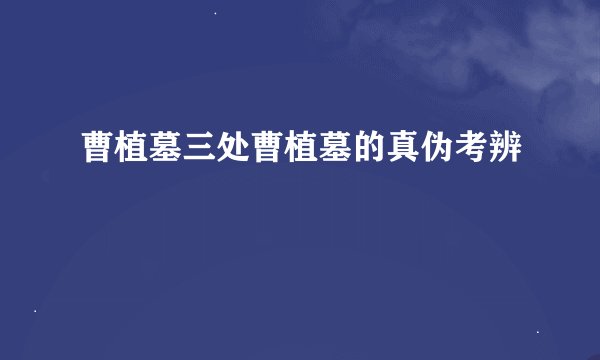 曹植墓三处曹植墓的真伪考辨
