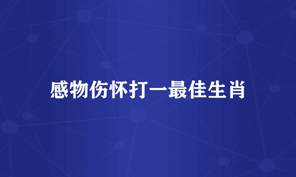感物伤怀打一最佳生肖