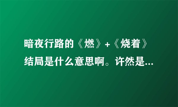 暗夜行路的《燃》+《烧着》结局是什么意思啊。许然是失忆了么？为什么迟愿不愿意碰他？求解~