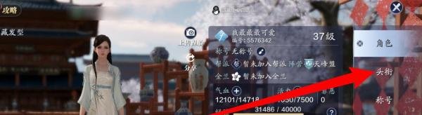 天涯明月刀头衔怎么晋升