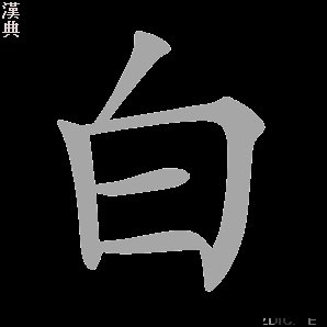白狼电视剧演员表