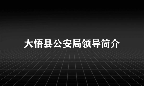 大悟县公安局领导简介