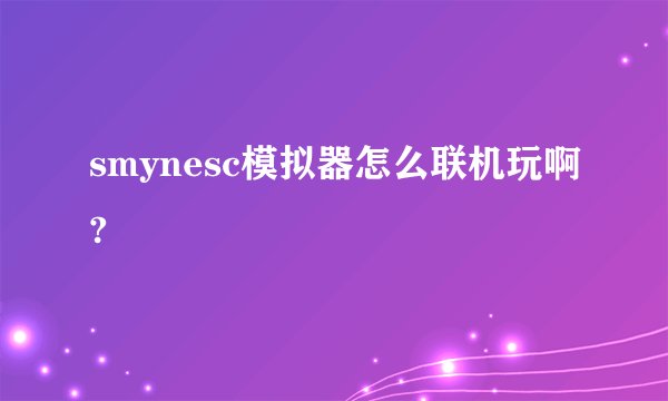 smynesc模拟器怎么联机玩啊?