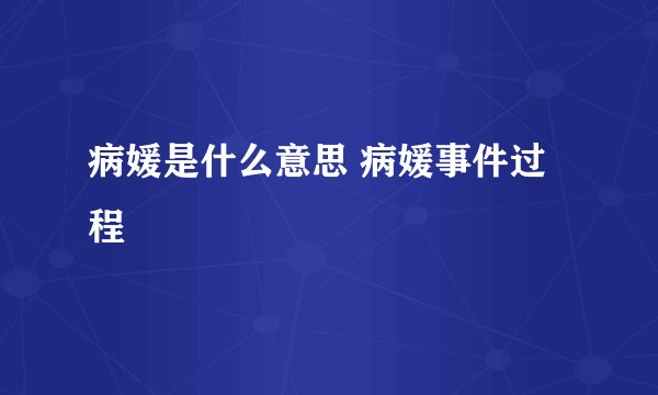 病媛是什么意思 病媛事件过程
