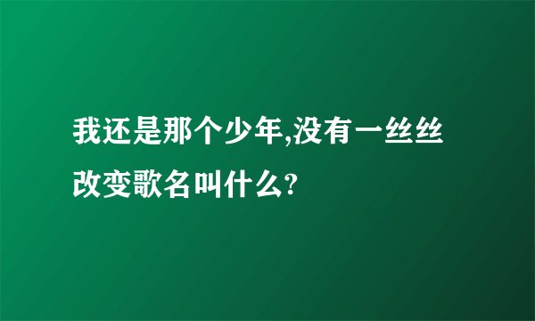 我还是那个少年,没有一丝丝改变歌名叫什么?