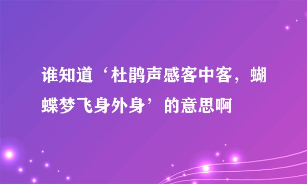 谁知道‘杜鹃声感客中客，蝴蝶梦飞身外身’的意思啊