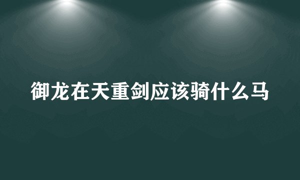 御龙在天重剑应该骑什么马