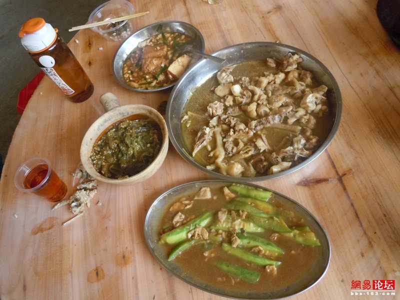 菜牙的介绍