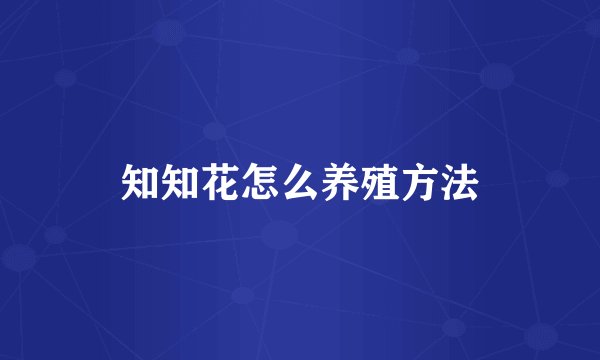 知知花怎么养殖方法