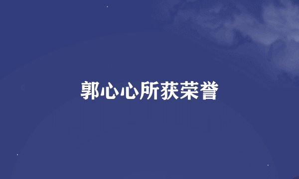 郭心心所获荣誉