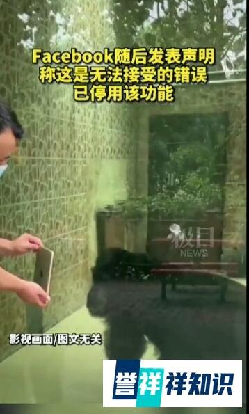 脸书将黑人标注为灵长类动物 这是咋情况？