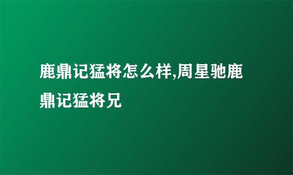 鹿鼎记猛将怎么样,周星驰鹿鼎记猛将兄