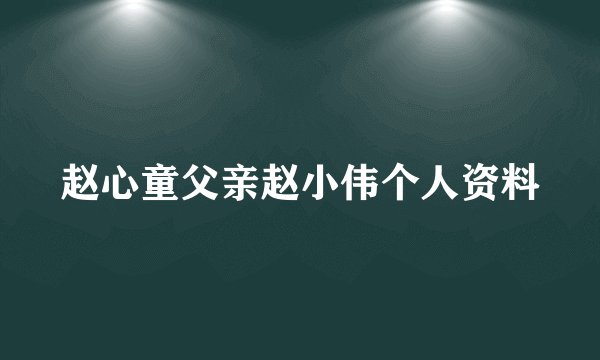 赵心童父亲赵小伟个人资料