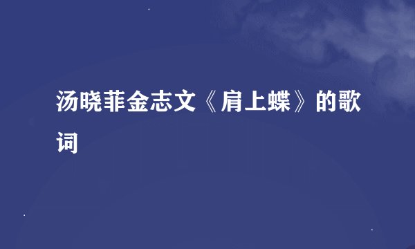 汤晓菲金志文《肩上蝶》的歌词