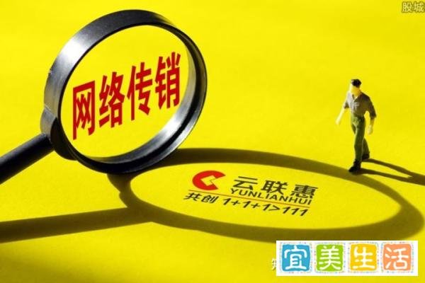 揭秘 “云联惠”：特大网络传销团伙的崛起与覆灭