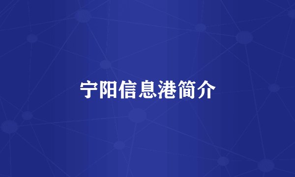 宁阳信息港简介