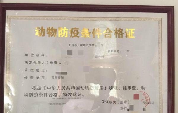 广东梅州地区量大的潲水,泔水(剩饭剩菜)怎么处理?正确的处理方式是什么?回收吗?