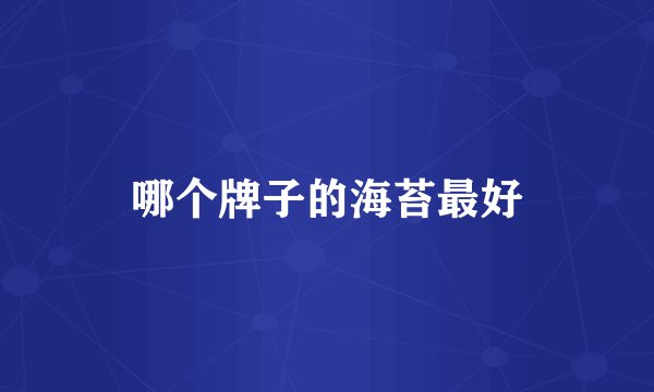 哪个牌子的海苔最好