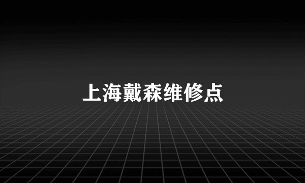 上海戴森维修点