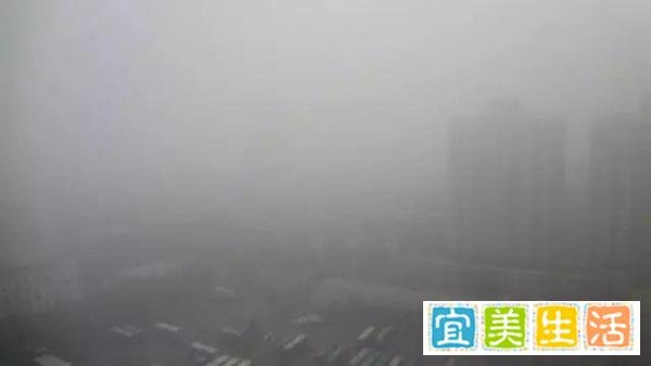 拨开哈尔滨雾霾的留美学生