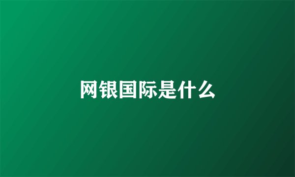 网银国际是什么