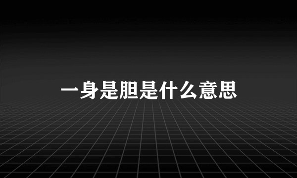 一身是胆是什么意思