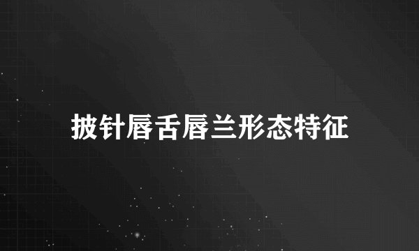 披针唇舌唇兰形态特征