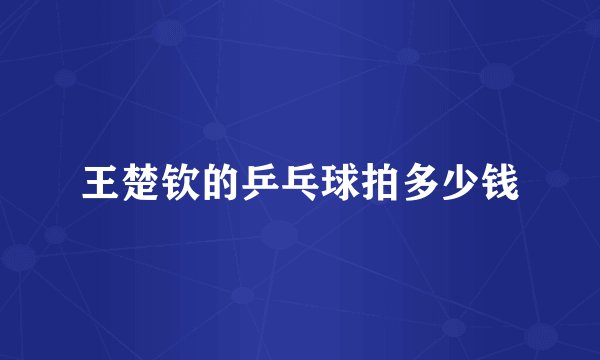 王楚钦的乒乓球拍多少钱