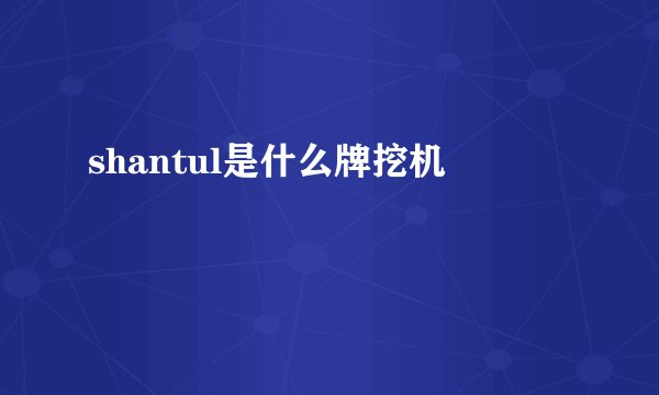 shantul是什么牌挖机
